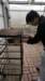 _150222_small.jpg