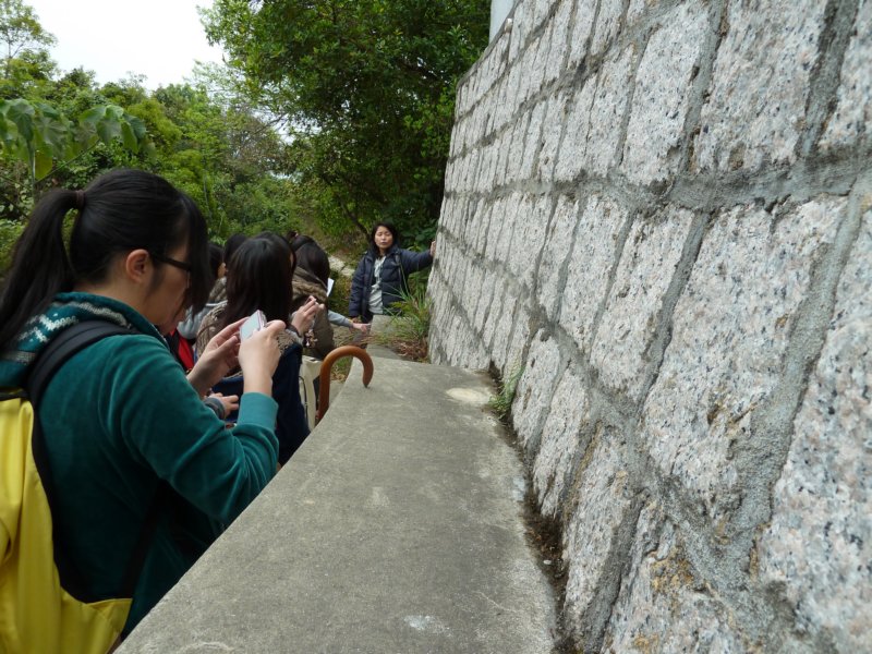 p1000964.jpg