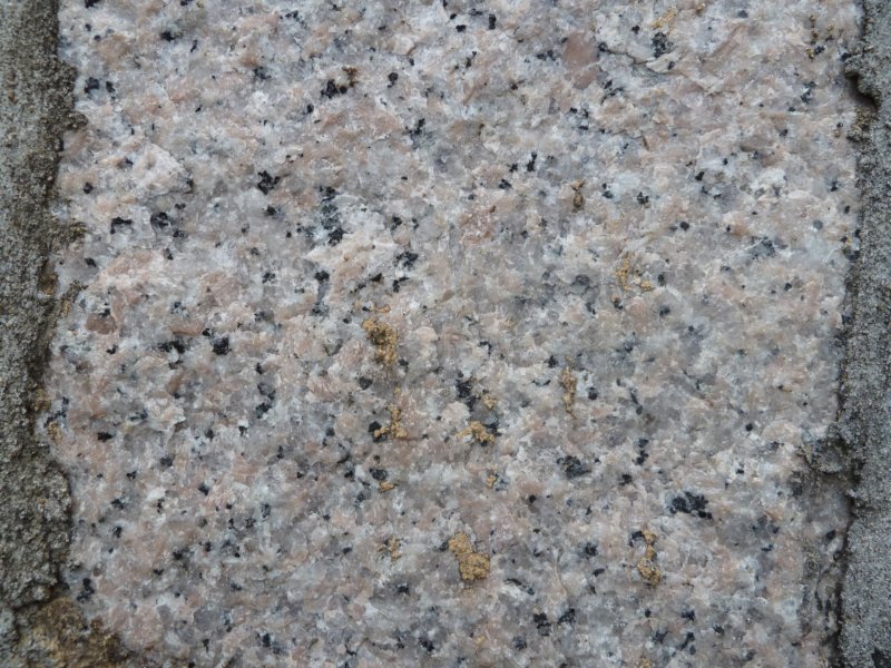 p1000965.jpg