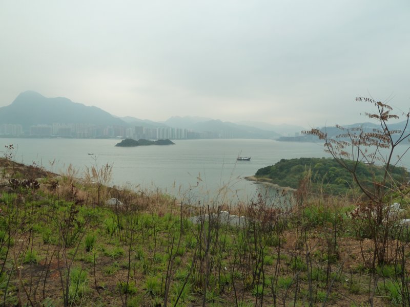 p1000967.jpg