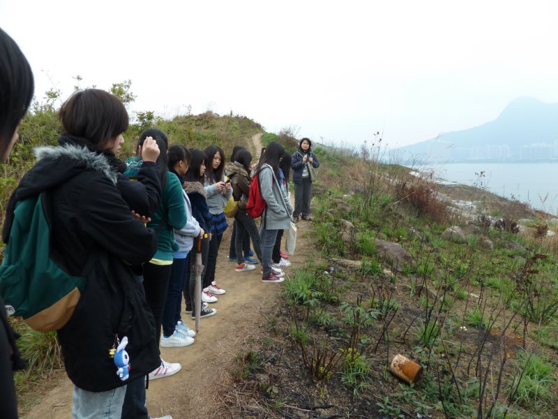 p1000969.jpg