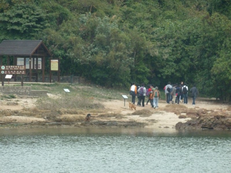p1000990.jpg