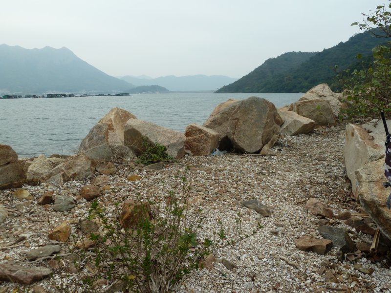 p1010010.jpg