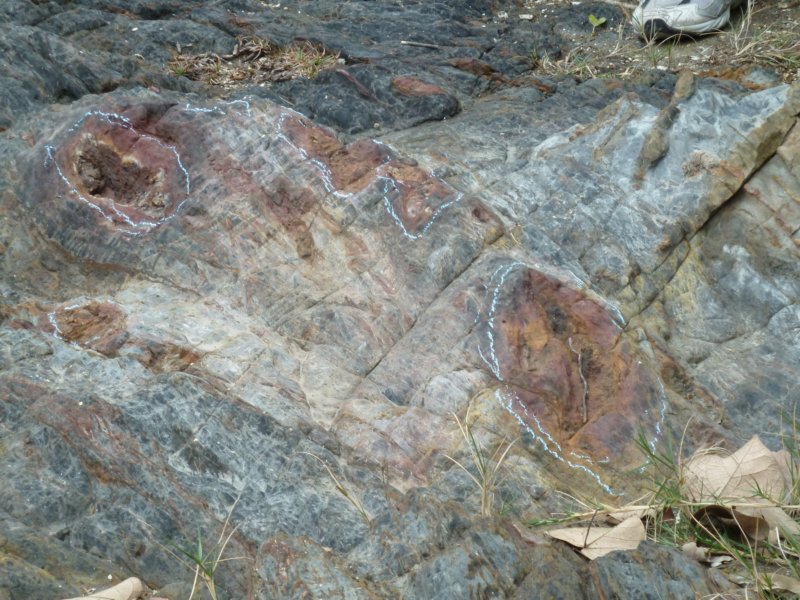 p1010041.jpg