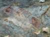 p1010041_small.jpg