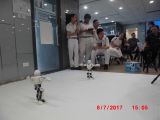 過往比賽相集/20170714 機械舞蹈比賽/機械舞蹈比賽 (9).JPG